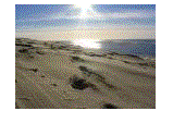 Zone de Texte:  